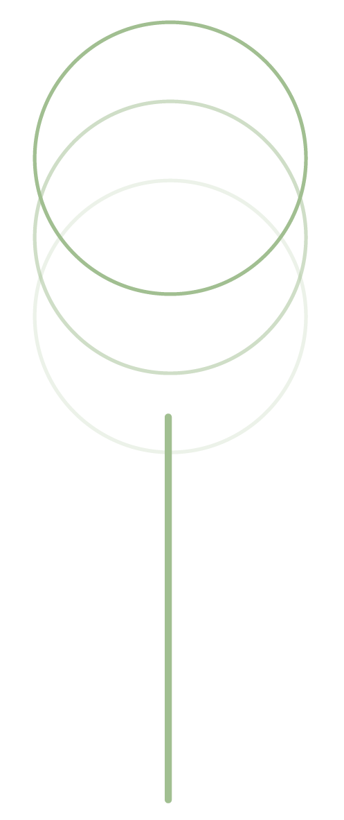 Geo extended shapes